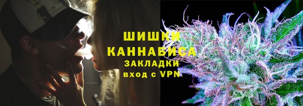 винт Верея