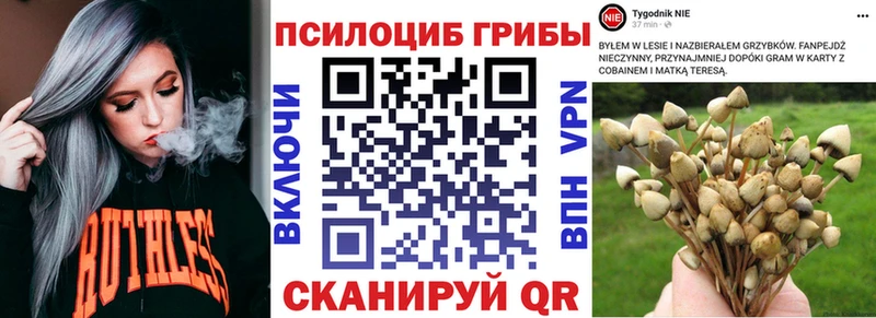 как найти   Сочи  MEGA маркетплейс  Псилоцибиновые грибы ЛСД 